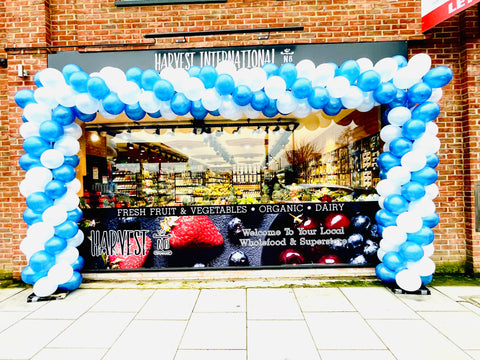 Balloon Arch Decor 10 Metres