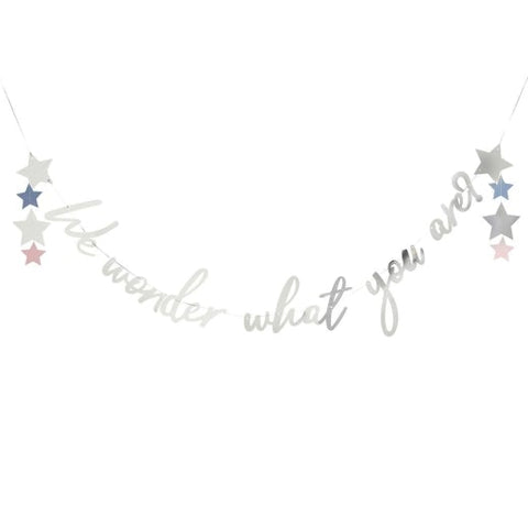 We Wonder What You Are Gender Reveal Banner